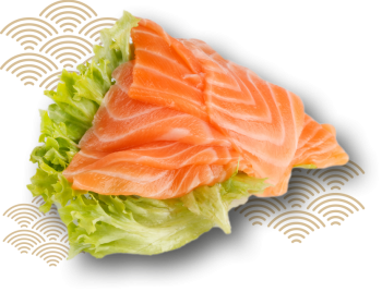 sashimi slices